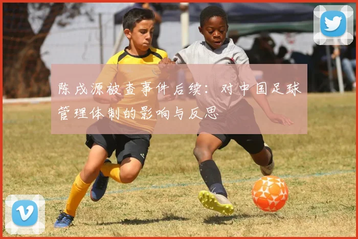 陈戌源被查事件后续：对中国足球管理体制的影响与反思