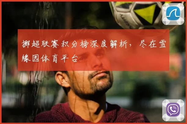 挪超联赛积分榜深度解析，尽在雪缘园体育平台