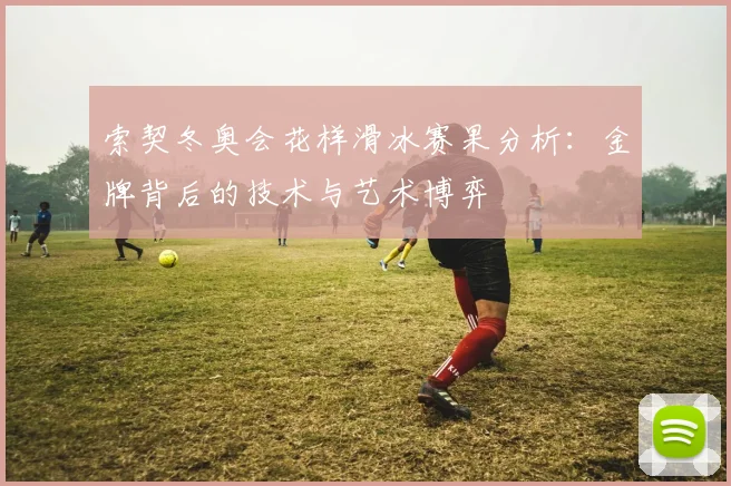 索契冬奥会花样滑冰赛果分析:金牌背后的技术与艺术博弈