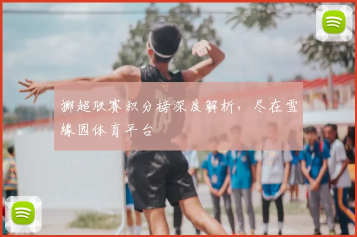 挪超联赛积分榜深度解析，尽在雪缘园体育平台