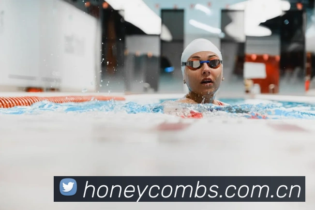 半岛网官网登录入口APP 封面图